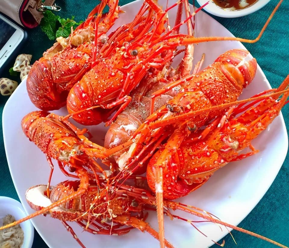 Ảnh slide minh họa 4